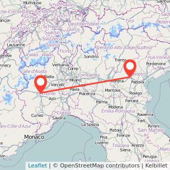 Виченца Турин